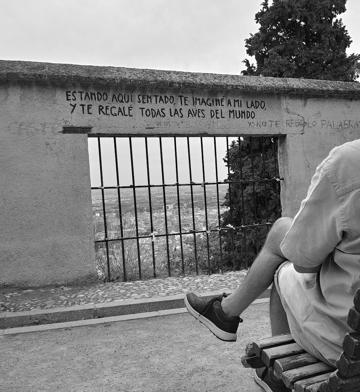 viewpoint Granada city window epigram black and white photo